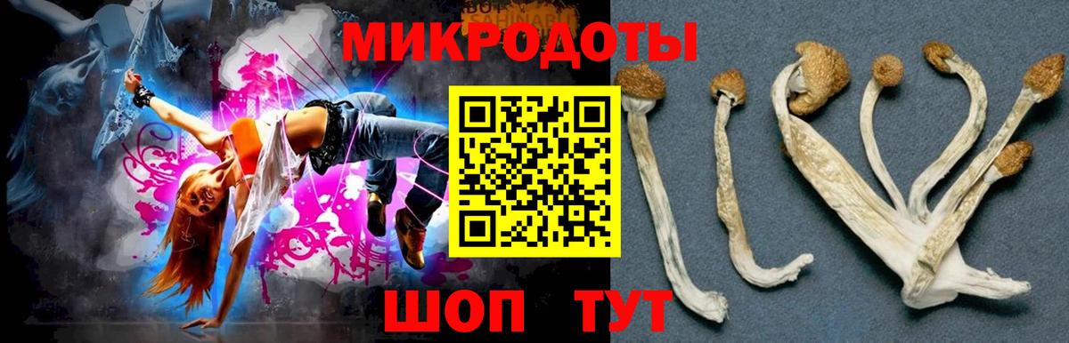 Галлюциногенные грибы MAGIC MUSHROOMS  Вход с VPN  Псилоцибиновые грибы ЛСД  Азнакаево 