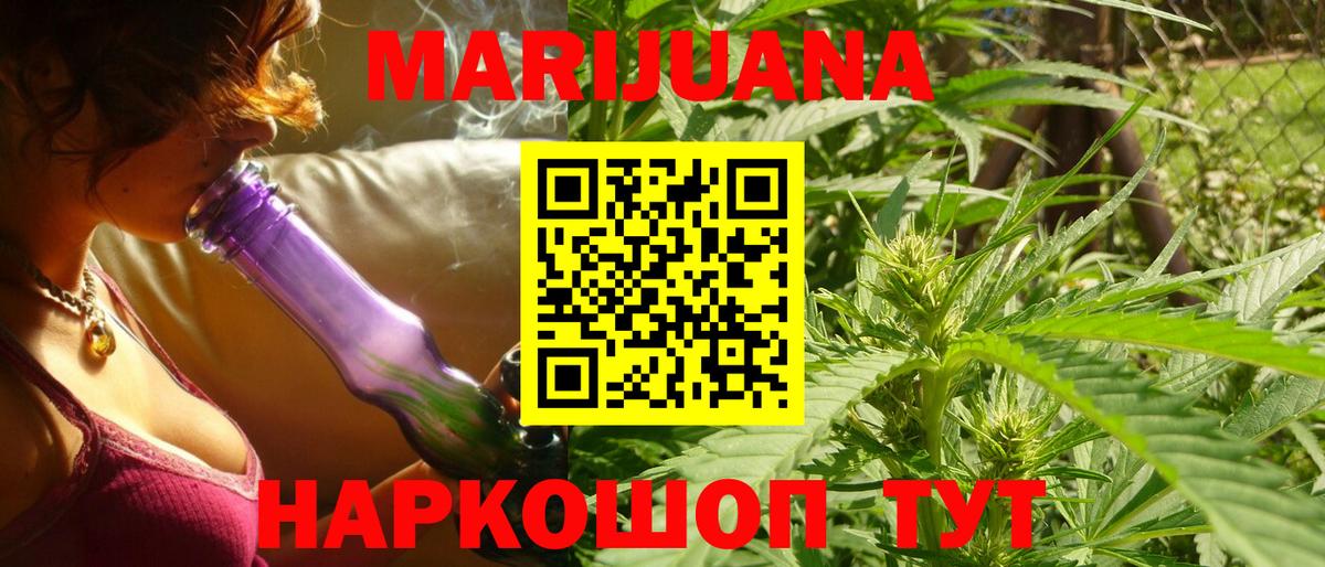 Конопля гибрид Азнакаево